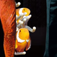 Эксперты расшифровали пророчество Ротшильдов