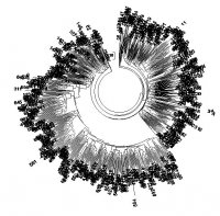 Профессор А.А. Клёсов: «Вызываю огонь на себя!»
