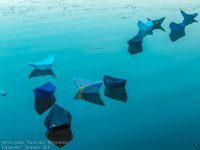 Сводки от ополчения Новороссии 24.06.2015