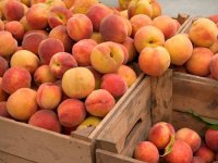 Первый пошёл