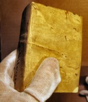 Человеческая кожа – ближайшая европерспектива Украины.