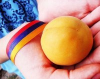 Абрикосовая революция (мнение)