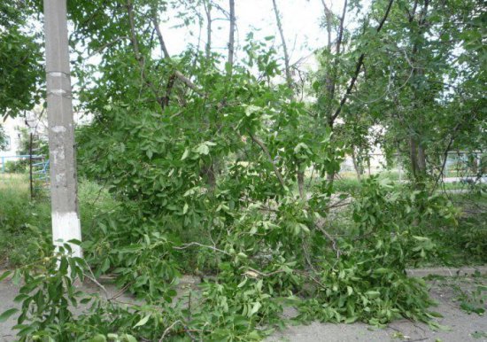 Горловка и поселок Октябрьский в Донецке подверглись обстрелу со стороны укрофашистов