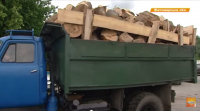 Украинцы массово скупают дрова (ТВ, видео)