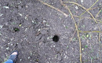 Сводки от ополчения Новороссии 02.07.2015 Сводки от ополчения Новороссии 02.07.2015