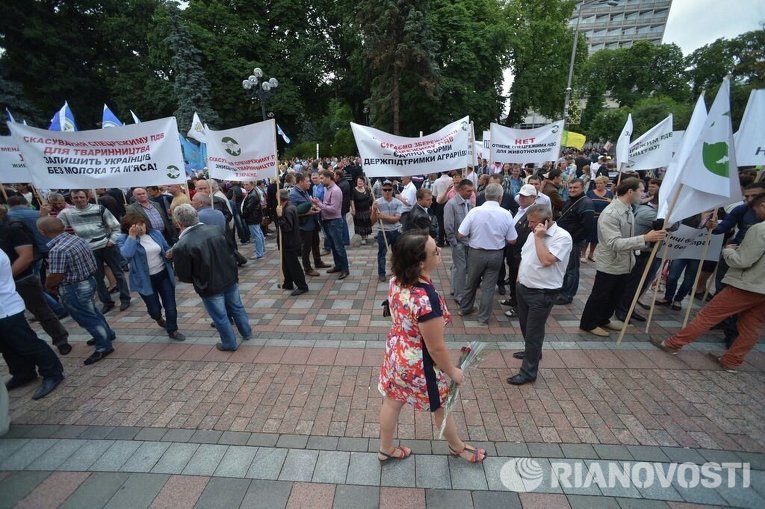 К митингующим у Верховной рады присоединились поросята
