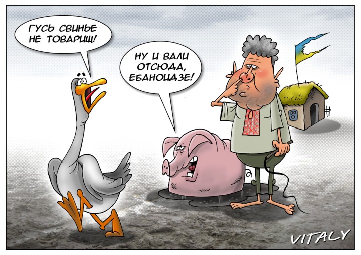 Из украинского правительства сбежал еще один иностранец