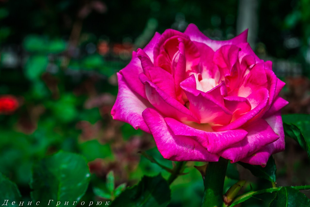 Митинг-реквием "Не забудем, не простим: Славянск" Митинг-реквием "Не забудем, не простим: Славянск"