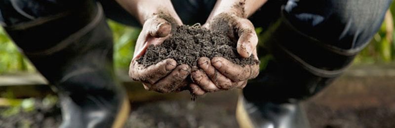 Запад: почём нынче украинская земелька?.. Запад: почём нынче украинская земелька?..