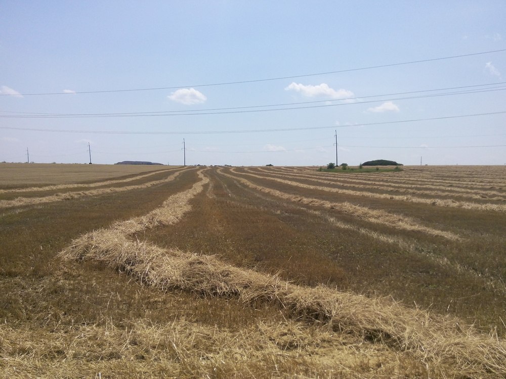 Сводки от ополчения Новороссии 09.07.2015 Сводки от ополчения Новороссии 09.07.2015