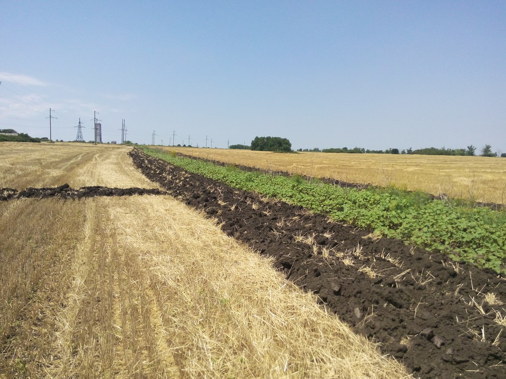 Сводки от ополчения Новороссии 09.07.2015 Сводки от ополчения Новороссии 09.07.2015