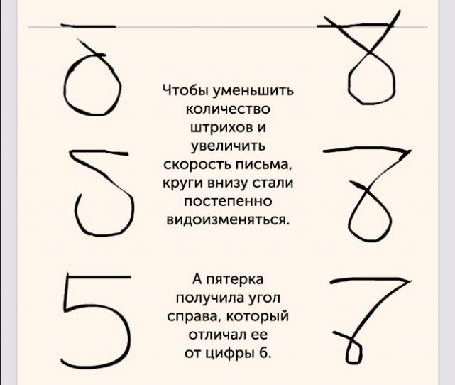 Эволюция чисел