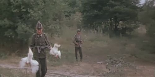 Сообщение запорожской ДРГ: Позывной «Хортица»...