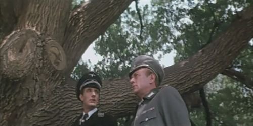 Сообщение запорожской ДРГ: Позывной «Хортица»...