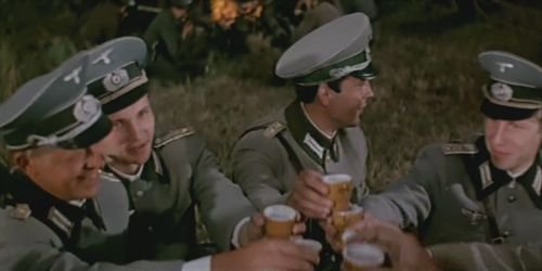 Сообщение запорожской ДРГ: Позывной «Хортица»...