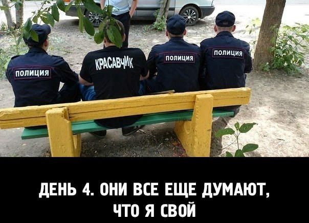 Перемога & зрада (100) Перемога & зрада (100)