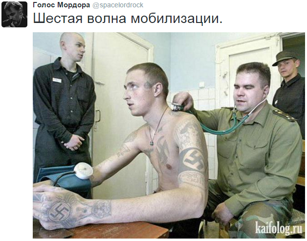 На манеже всё те же - подборка картинок (9) На манеже всё те же - подборка картинок (9)