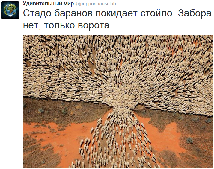 На манеже всё те же - подборка картинок (9) На манеже всё те же - подборка картинок (9)