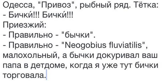 На манеже всё те же - подборка картинок (9) На манеже всё те же - подборка картинок (9)