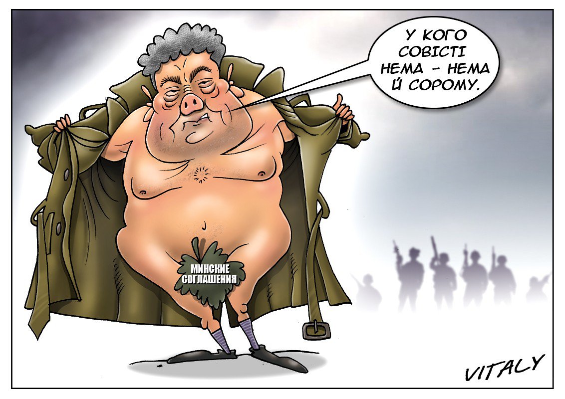 Украина не сможет выполнить минские договорённости Украина не сможет выполнить минские договорённости