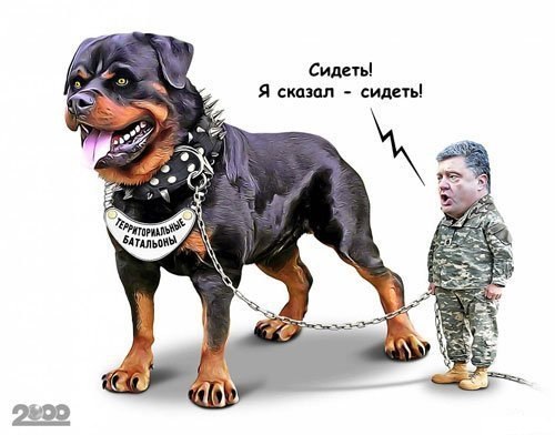 Веселые картинки... Веселые картинки...