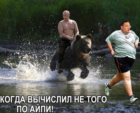 Веселые картинки... Веселые картинки...