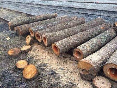 Украина трещит по швам Украина трещит по швам