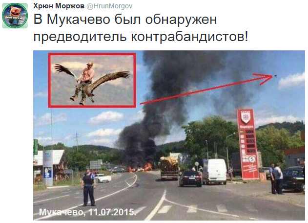 На манеже всё те же - подборка картинок (10) На манеже всё те же - подборка картинок (10)