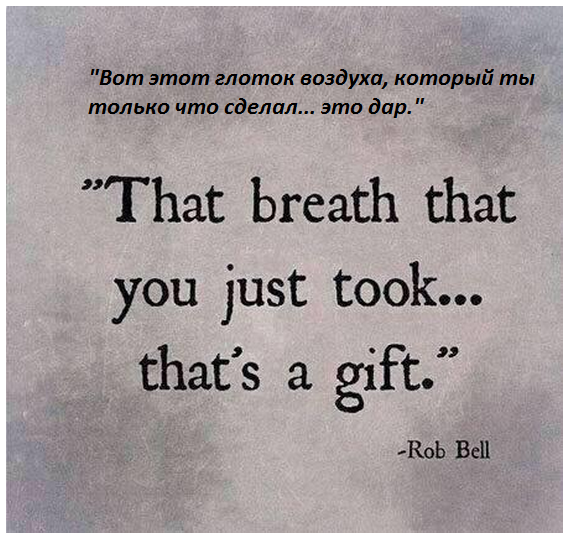 На манеже всё те же - подборка картинок (10) На манеже всё те же - подборка картинок (10)