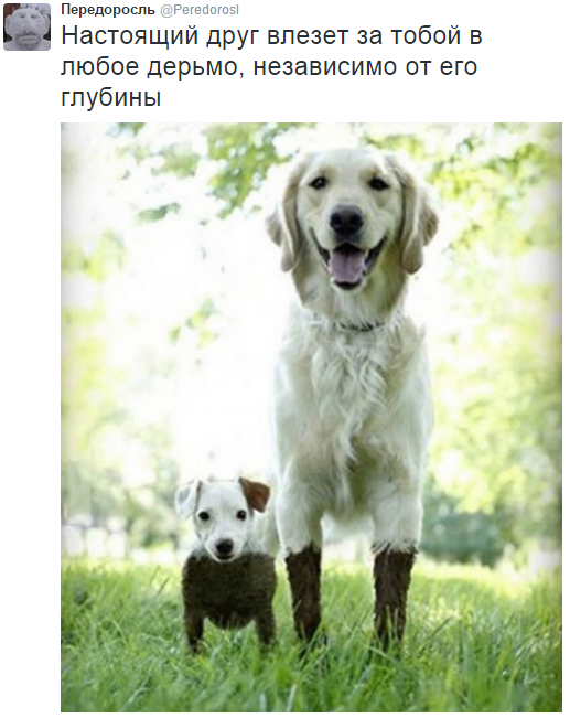 На манеже всё те же - подборка картинок (10) На манеже всё те же - подборка картинок (10)