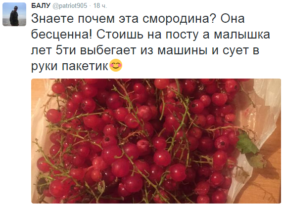 На манеже всё те же - подборка картинок (10) На манеже всё те же - подборка картинок (10)
