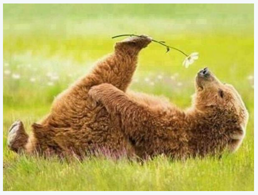 На манеже всё те же - подборка картинок (10) На манеже всё те же - подборка картинок (10)