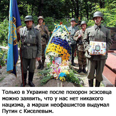 "Мыздобулы" в картинках. Смешных и не очень... 21-07-2015 "Мыздобулы" в картинках. Смешных и не очень... 21-07-2015