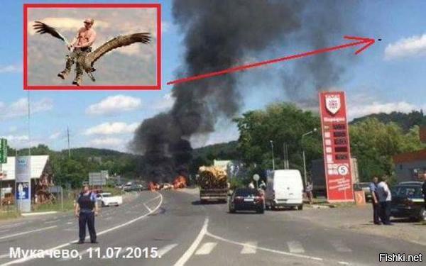 "Мыздобулы" в картинках. Смешных и не очень... 21-07-2015 "Мыздобулы" в картинках. Смешных и не очень... 21-07-2015