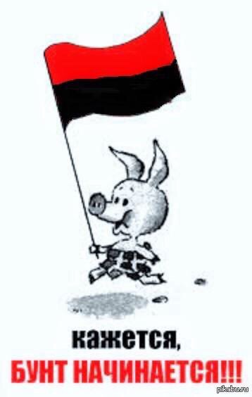 "Мыздобулы" в картинках. Смешных и не очень... 21-07-2015 "Мыздобулы" в картинках. Смешных и не очень... 21-07-2015