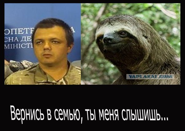 "Мыздобулы" в картинках. Смешных и не очень... 21-07-2015 "Мыздобулы" в картинках. Смешных и не очень... 21-07-2015