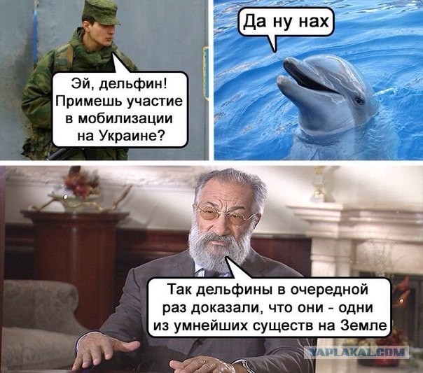 "Мыздобулы" в картинках. Смешных и не очень... 21-07-2015 "Мыздобулы" в картинках. Смешных и не очень... 21-07-2015