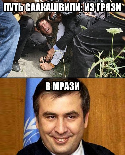 "Мыздобулы" в картинках. Смешных и не очень... 21-07-2015 "Мыздобулы" в картинках. Смешных и не очень... 21-07-2015