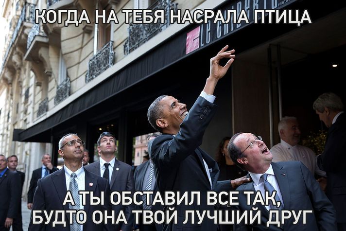 "Мыздобулы" в картинках. Смешных и не очень... 21-07-2015 "Мыздобулы" в картинках. Смешных и не очень... 21-07-2015