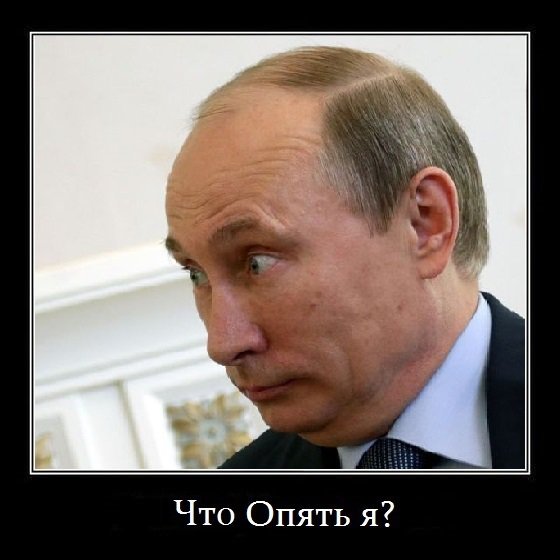 Борщевик и президент России: причинно-следственная связь по-британски Борщевик и президент России: причинно-следственная связь по-британски