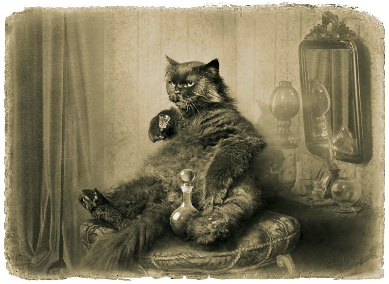 Сногсшибательный фотопроект “Мастер и Маргарита” от Елены Мартынюк!