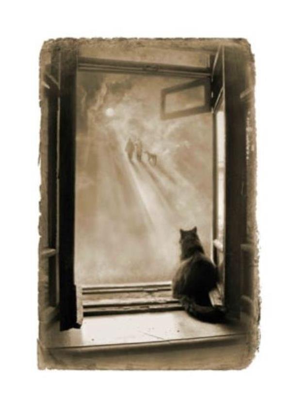 Сногсшибательный фотопроект “Мастер и Маргарита” от Елены Мартынюк!