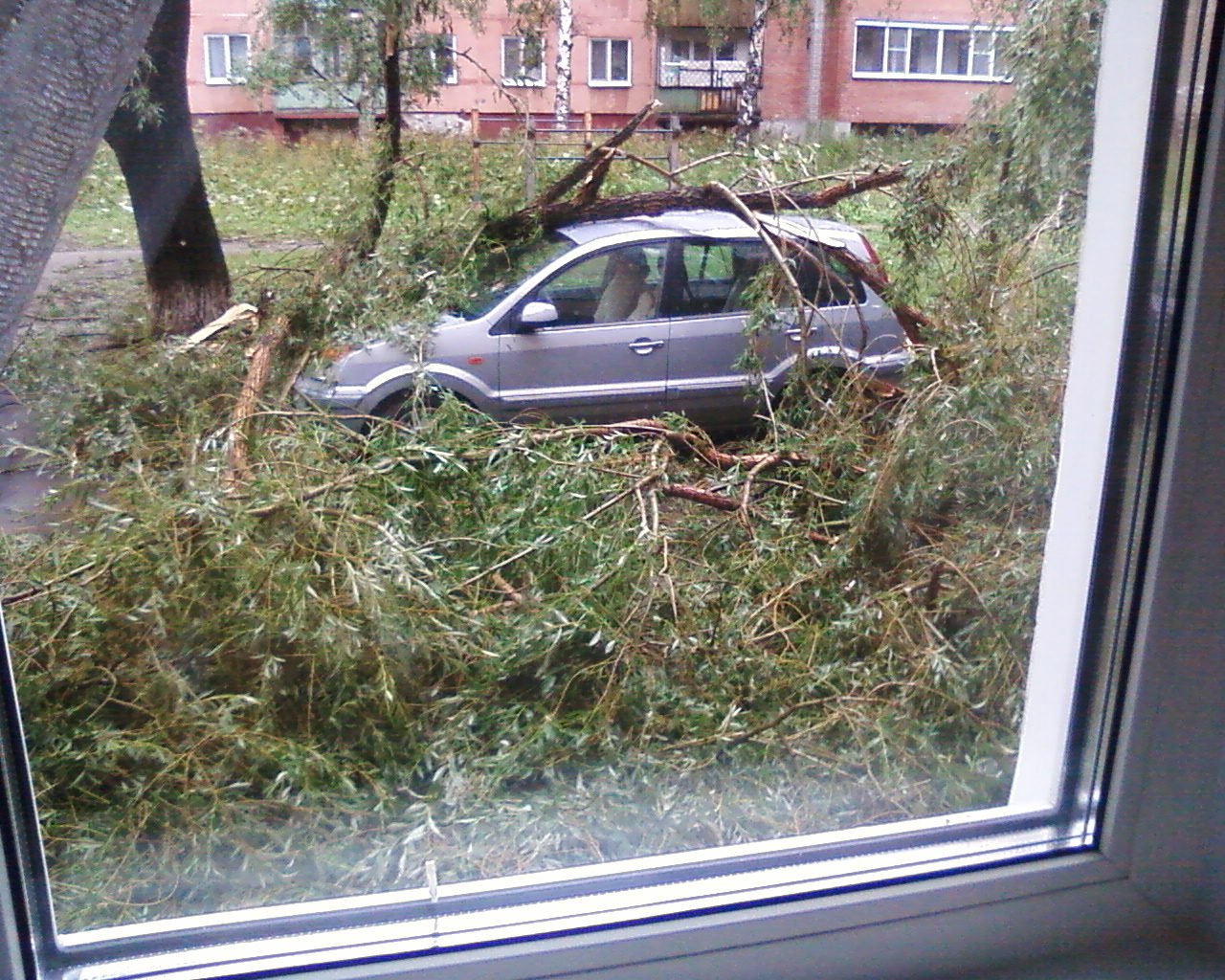 Сибирский шторм. Сибирский шторм.