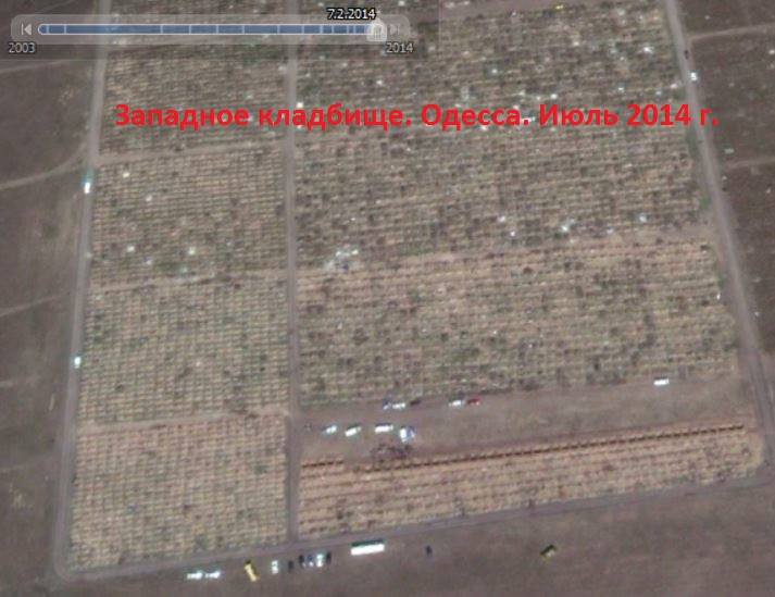 Хирургические отходы, потерь нет. Хирургические отходы, потерь нет.