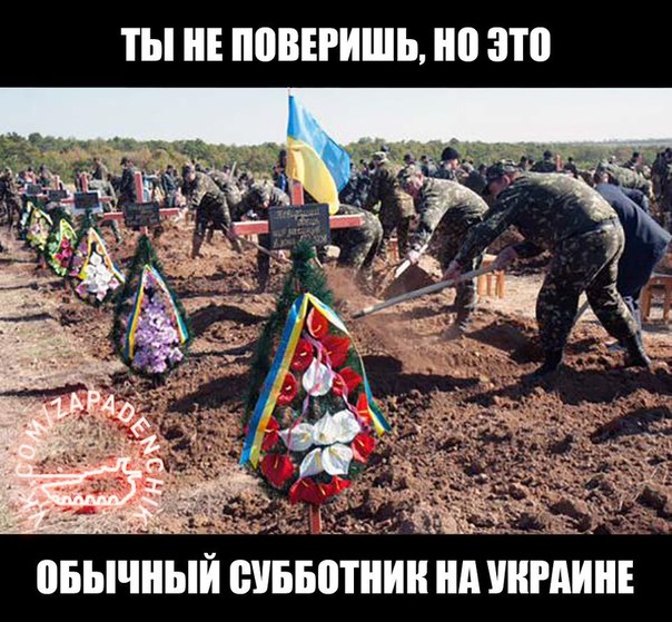 "Мыздобулы" в картинках. Смешных и не очень... 28-07-2015 "Мыздобулы" в картинках. Смешных и не очень... 28-07-2015