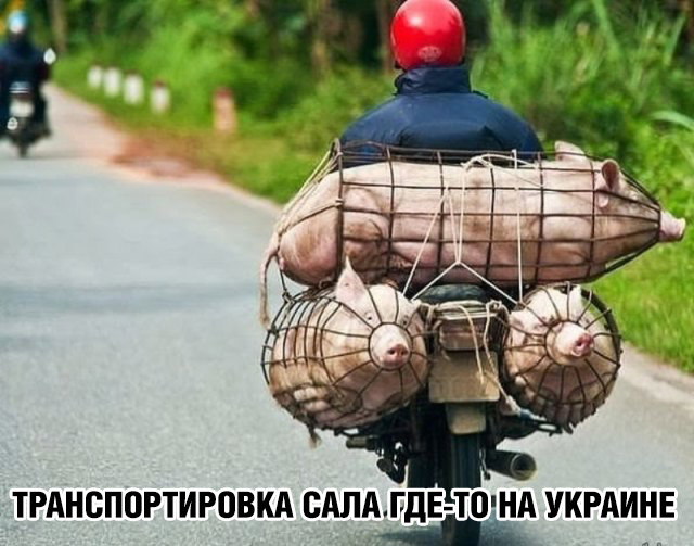 "Мыздобулы" в картинках. Смешных и не очень... 28-07-2015 "Мыздобулы" в картинках. Смешных и не очень... 28-07-2015