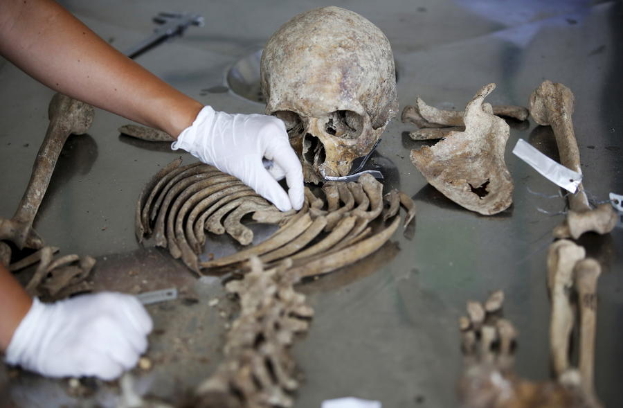 Французский подросток обнаружил зуб человека возрастом не менее 550 тыс. лет Французский подросток обнаружил зуб человека возрастом не менее 550 тыс. лет