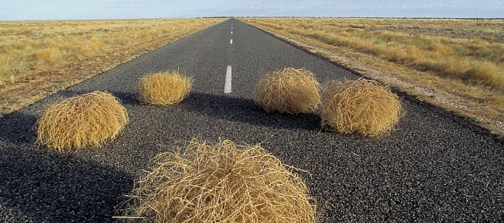 ЕС признал вымирание Прибалтики