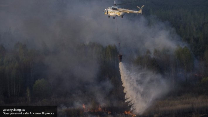 ГСЧС: В зоне Чернобыля 70% пожаров вызваны поджогами ГСЧС: В зоне Чернобыля 70% пожаров вызваны поджогами