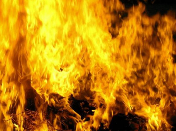 Австрийский политик: «НАТО готовит нападение на Россию»